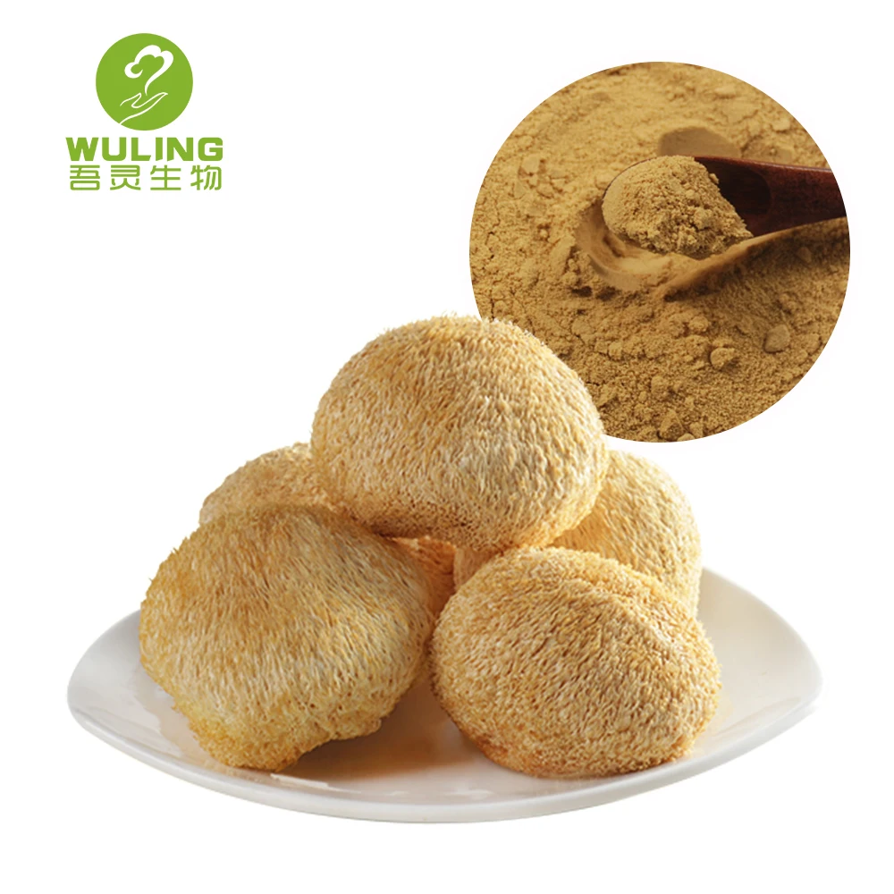 Диетическая добавка, 100% растворимый в воде порошок гривы льва, порошок гриба, экстракт травы обыкновенной, пищевые добавки, 100 сетка