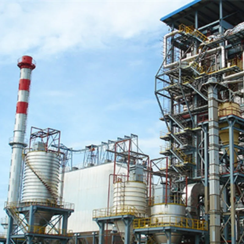 Natural Biomass Gas Power Generators Biomass Gasifier Power Plant