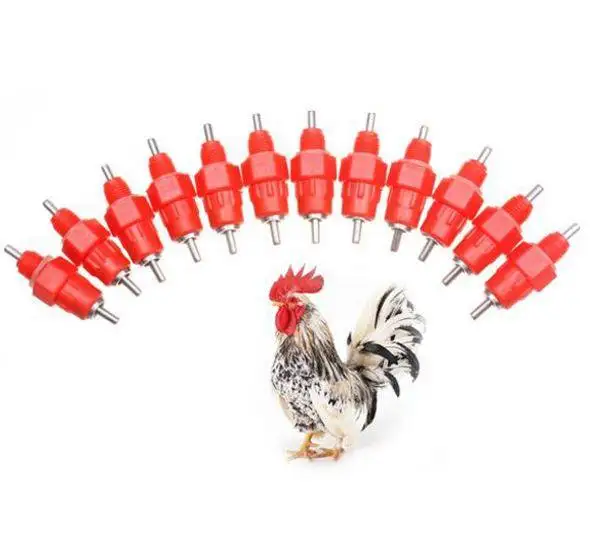 Stainless Steel Screw Poultry Chicken Bird Quail Rabbit Nipple