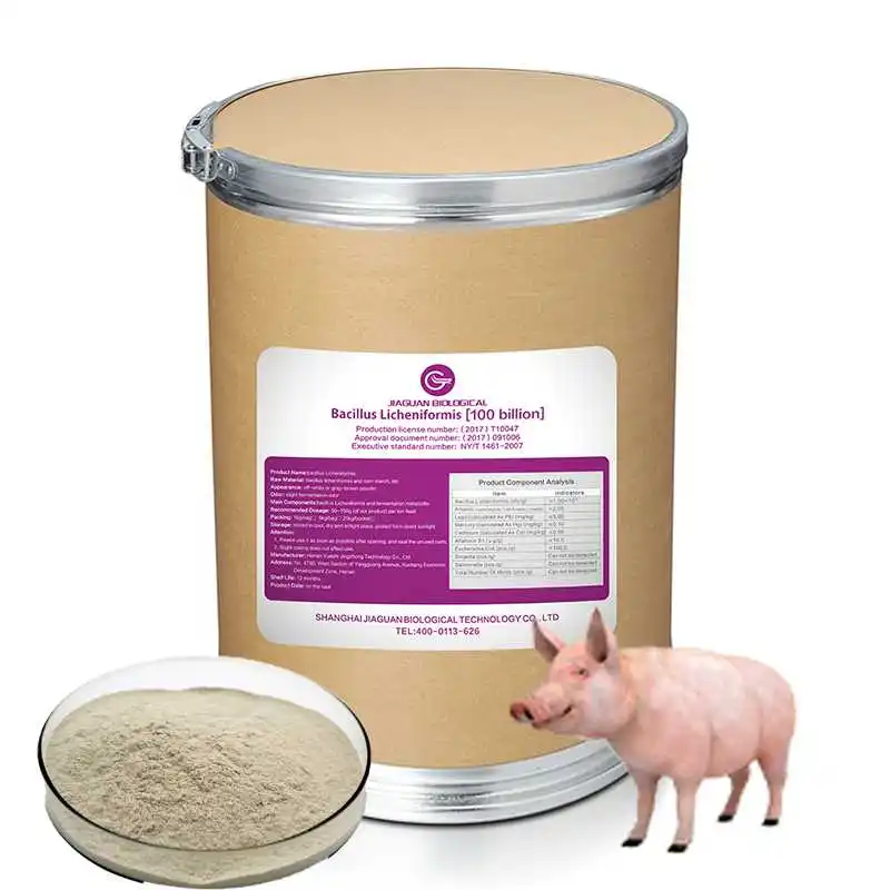 Manufacturer Supply High Quality Bacillus Licheniformis Pig Growth Booster Powder Best Quality Mixed Animal Feed Additives