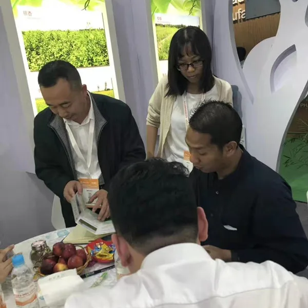 High quality peach juice powder water soluble