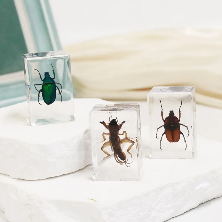 Transparent Acrylic Handmade Resin Crafts Crystal Paperweights Resin Craft For School Teaching