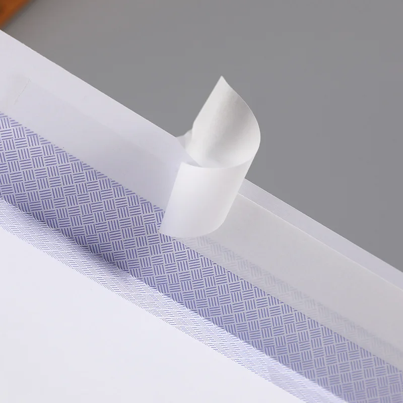 #10 High Quality Western Business White Double Window Envelope