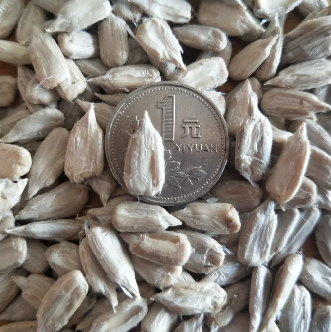 Wholesale White Sunflower Seeds China Sunflower Seeds Black with White Stripes 361 363 Grade A Best Price