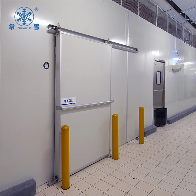 Professional Negative cold room freezer cold storage  unit project