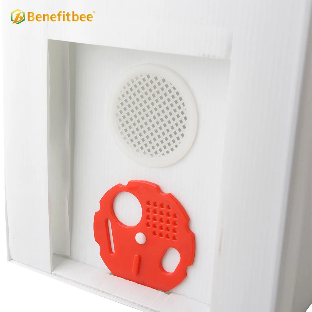 Beekeeping hive tools 5 frames nuc box plastic beehive