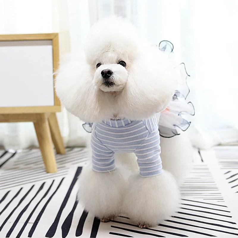 
Pet appare pet dog clothes Luxurious lace candy-colored pet dress for small female dogs fashion design cat dog dress 