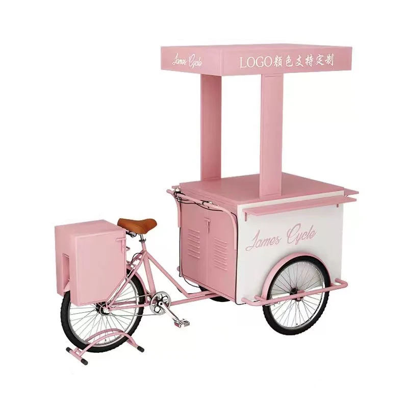 Tricycle Stand Night Market Promotion Mobile Creative Stall Display Flower Sales Car