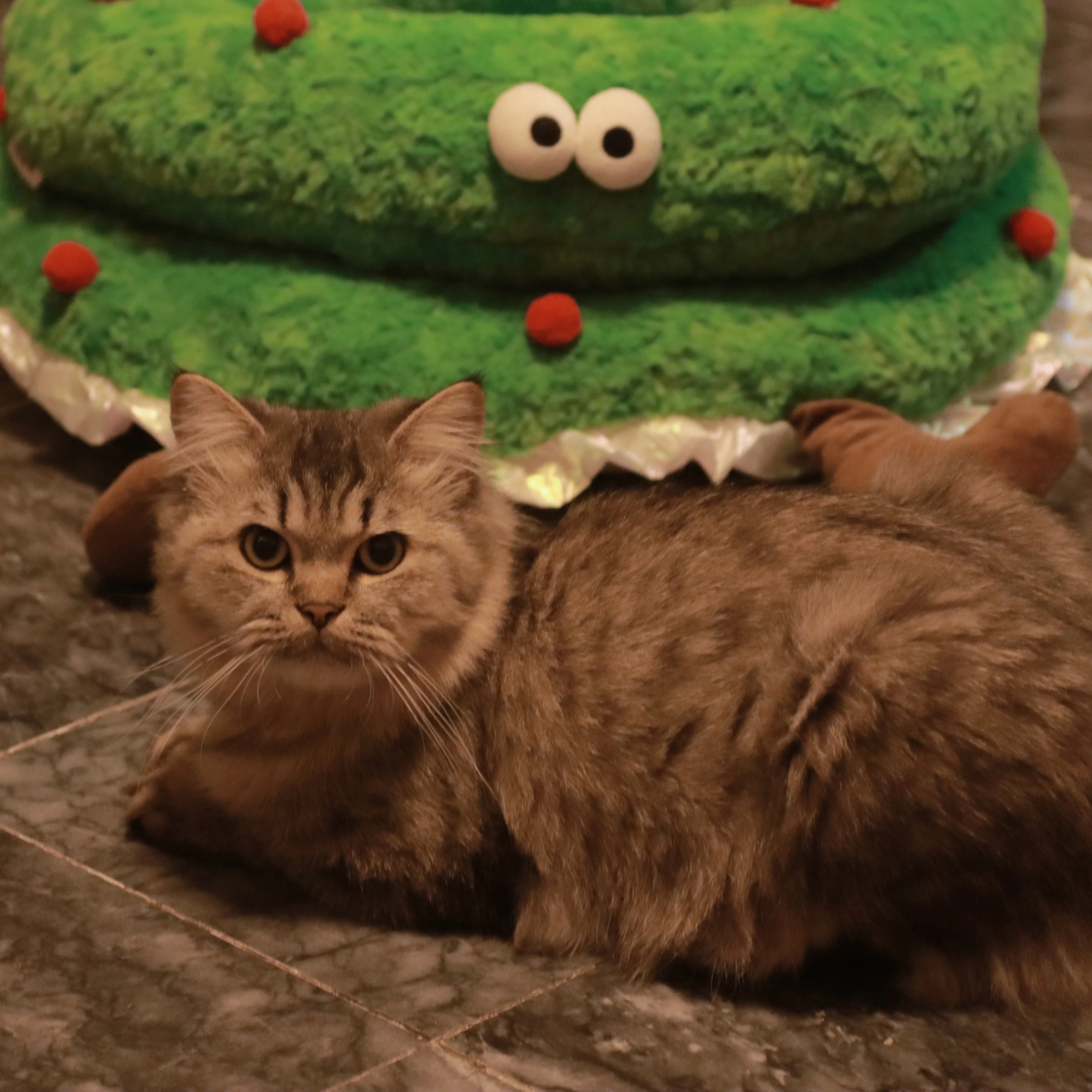 Christmas Pet Cat House Large Space 2 in 1 Easy to disassemble and wash semi-enclosed kennel plush warm pet house