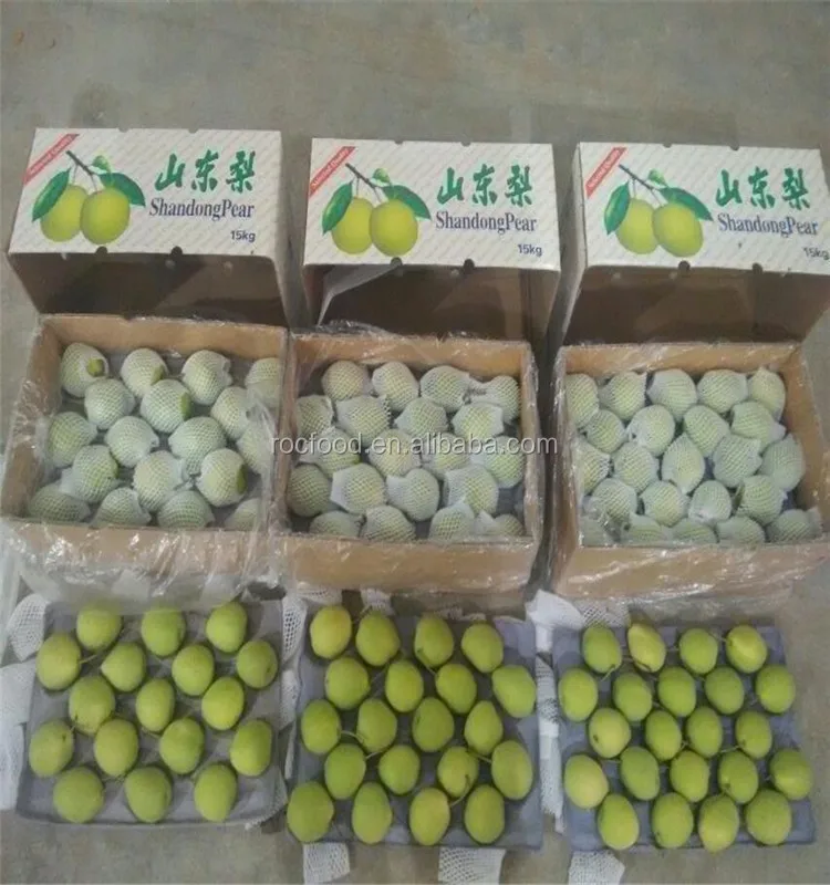  Китайские груши Ya pears