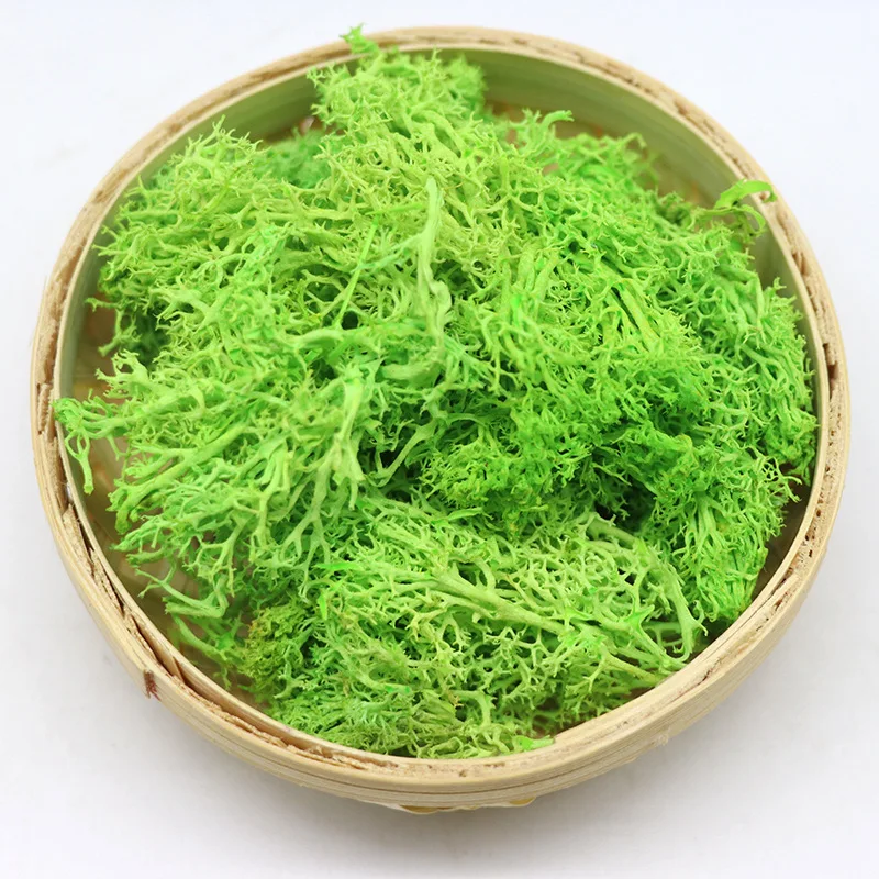 
wholesale preserved wall moss letters box lichen stabilized irish moss 