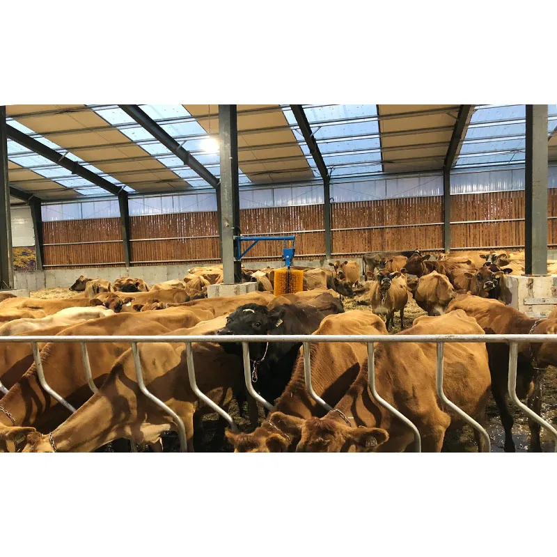 Готовые строительные материалы стальная конструкция ферма дом для