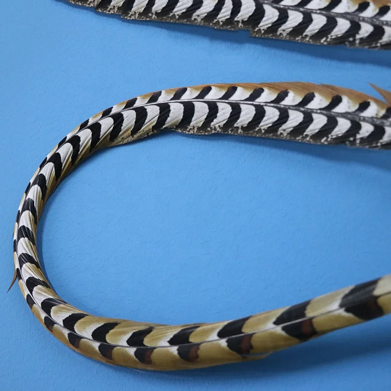 Cheap Large Natural Plumas Reeves Pheasant Tail Feathers 10-150CM for Carnival, Samba, Pattaya performances