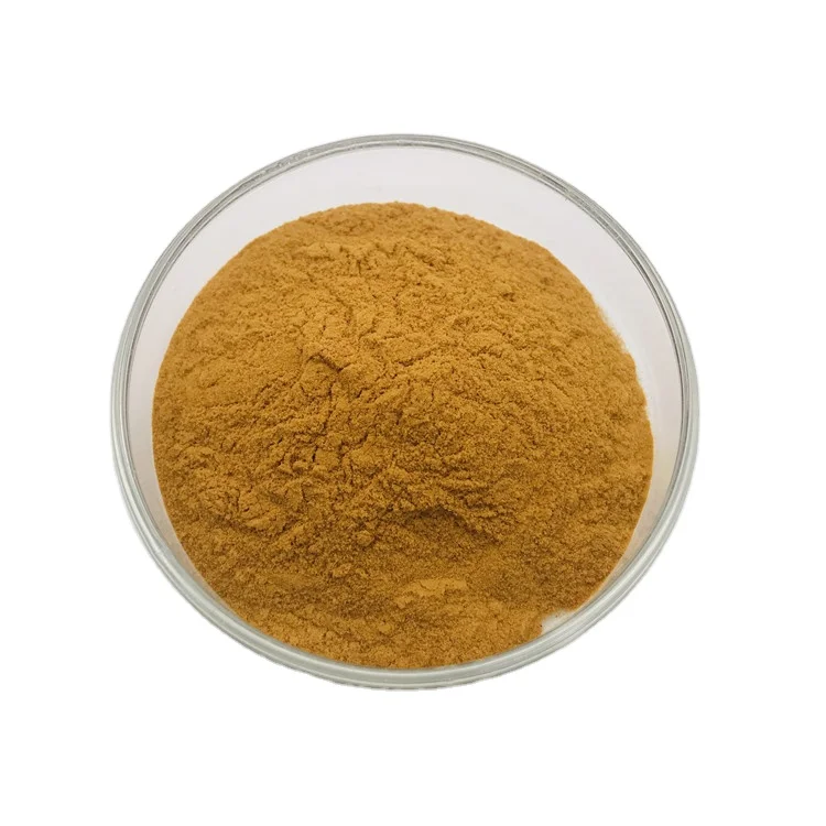 40% Camellia Sinensis Seed Extract Tea Saponin For Cosmetic