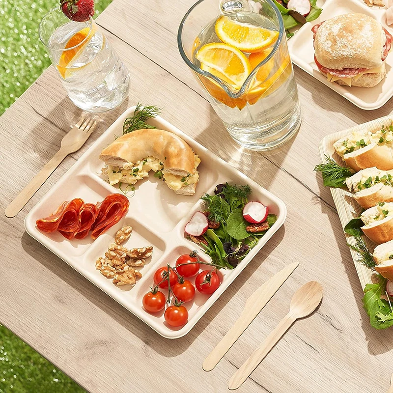 Heepack Biodegradable Pulp Tableware Food Packaging Plates Disposable 5-compartment Sugarcane White Bagasse Tray