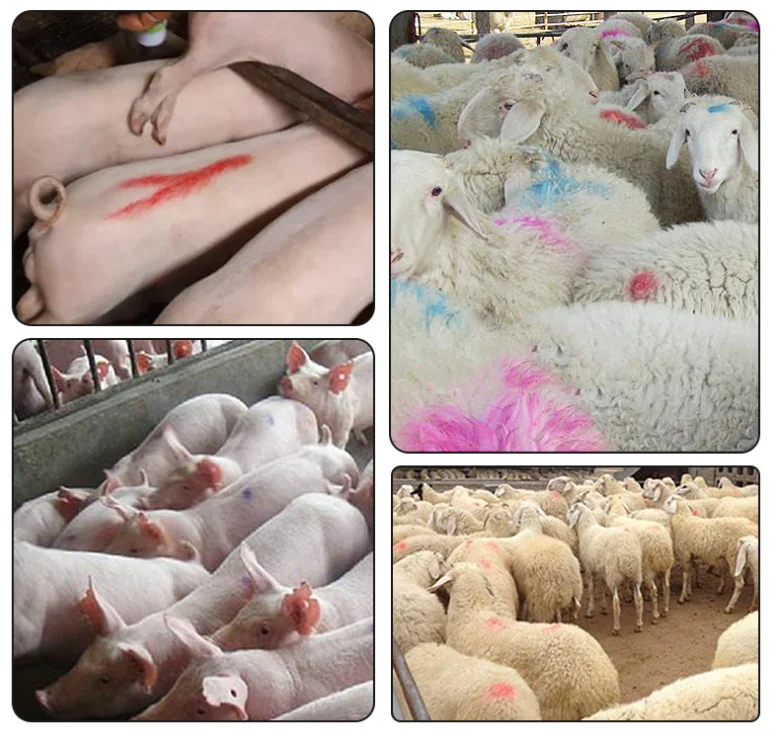Animal Crayon Colored Veterinary Marking Livestock Body Crayons Pig Mark Crayon for Sale