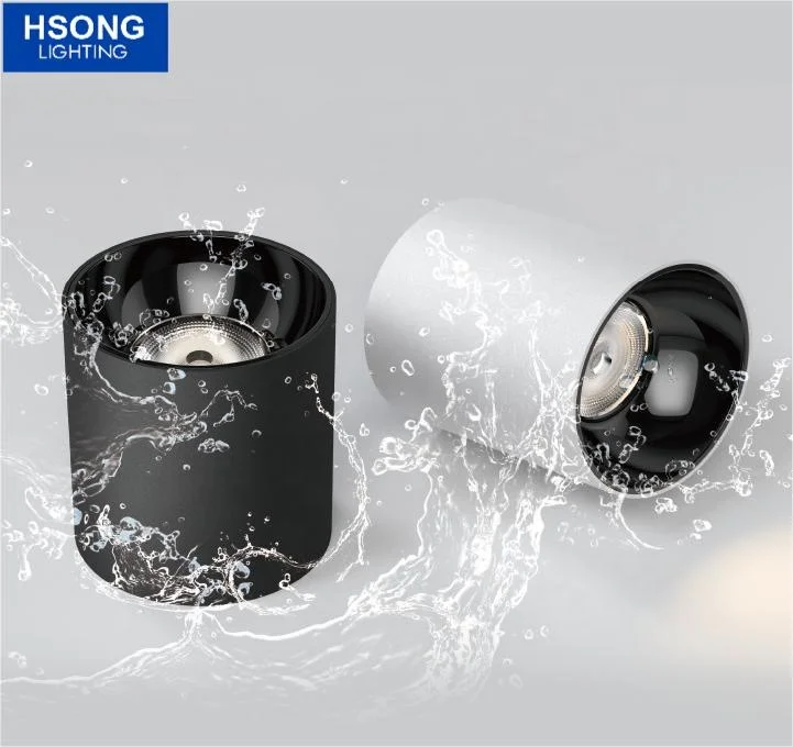 2024 Лидер продаж cob downlight новый дизайн водонепроницаемый IP65 поверхностный светильник для украшения дома для гостиничного проекта