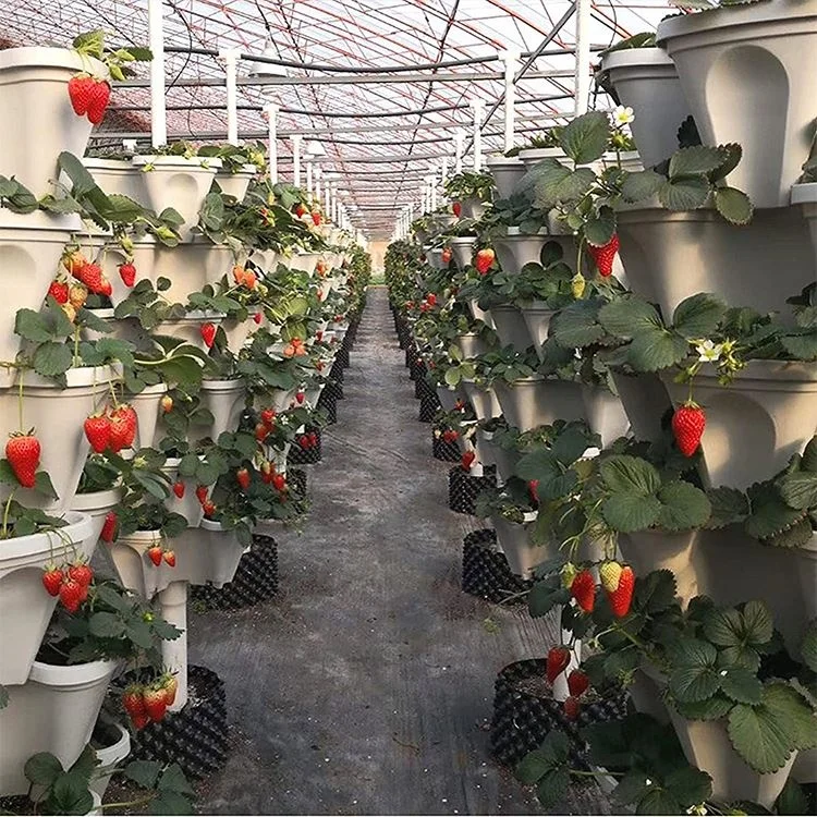 Подвесной горшок для выращивания клубники