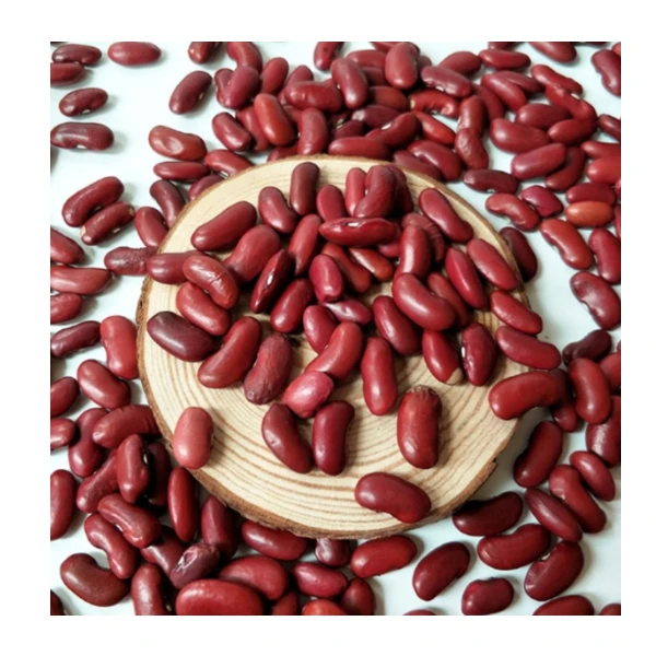 Direct Exporter Natural Organic Dried Raw Green and Red Mung Vigna Beans Bulk Order for Sale