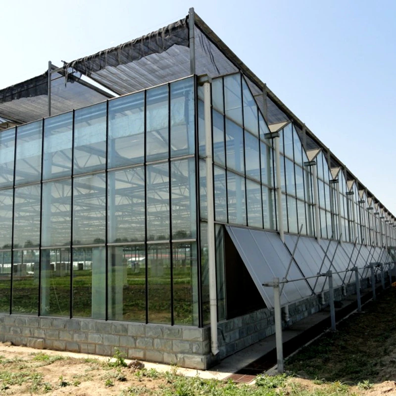 Multi-span agricultural glass greenhouse frame green house agricultural manufacturers greenhouse for tomato