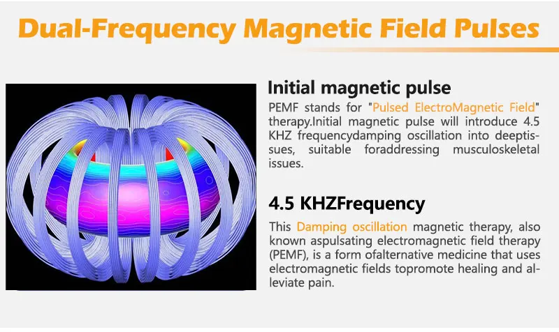 Physical Treatments pemt LOOP Improve Horses Lameness And Colic Magneto Therapy Make Horses Stay in Health