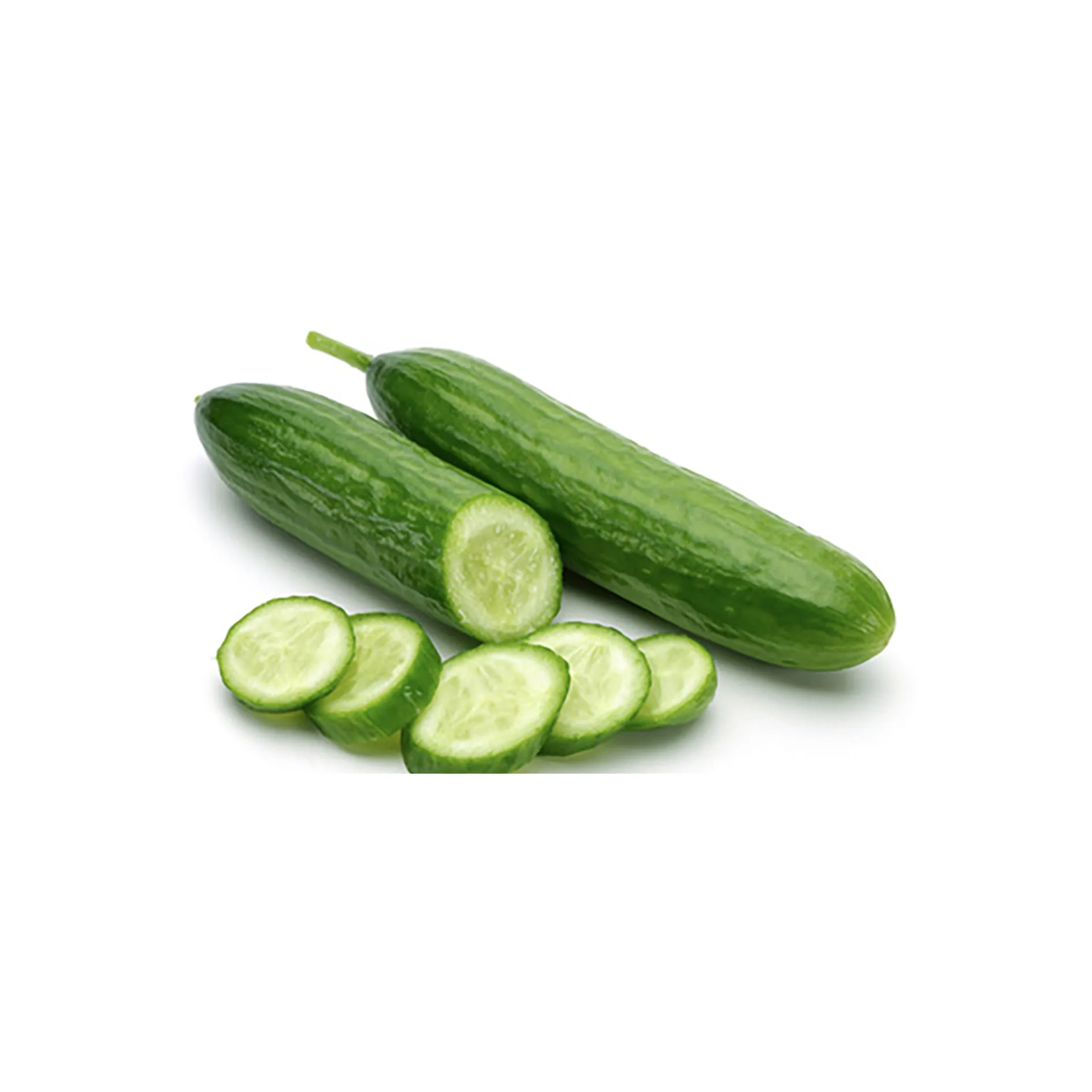 Оптовая продажа, марокканские фермы, свежие овощи, здоровые фруктовые огурцы, вкусные огурцы, цена