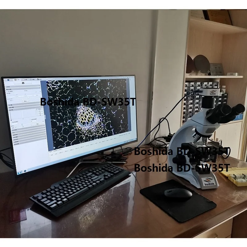 Boshida BD-SW35 compound trinocular biological microscope with  infinity optical system for laboratory  and hospital