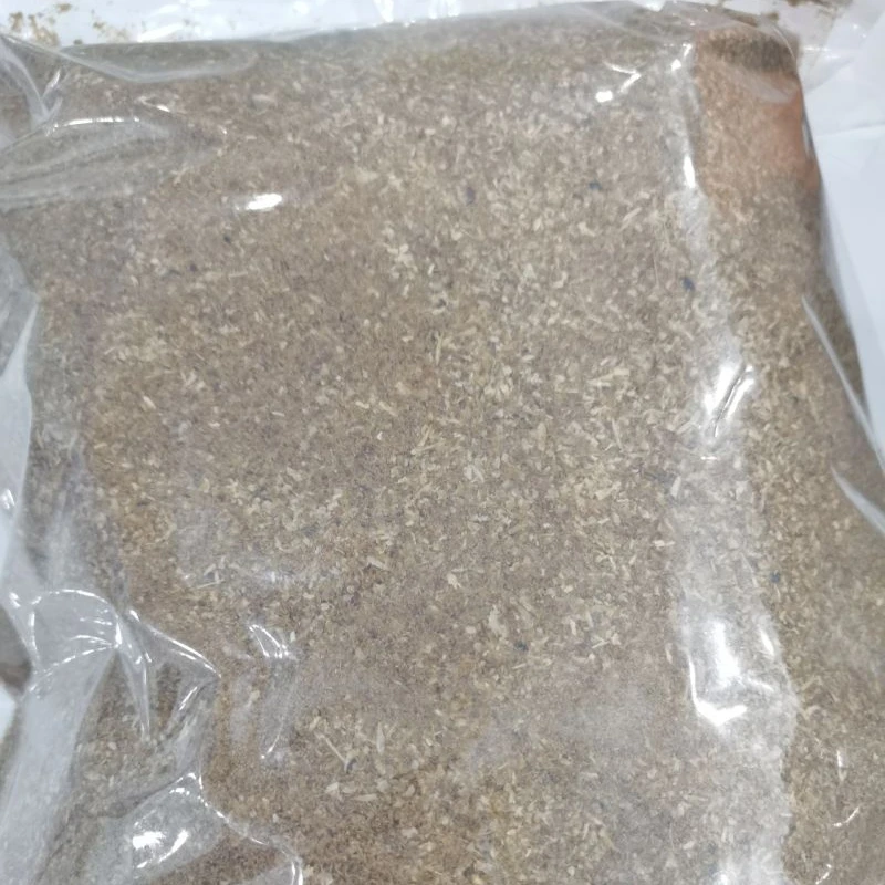 high protein mealworm plus mealworm beetle skin powder mealworms skin powder low  price wholesale