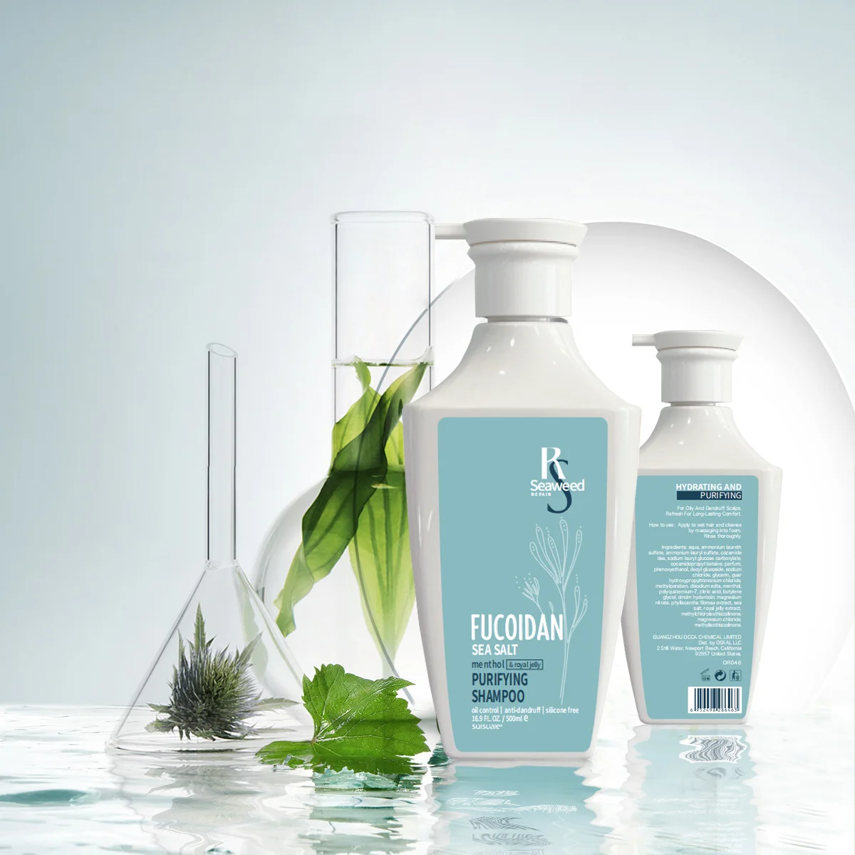 Professional Oil Control Moisturizing Anti-Itching Fucoidan Purifying Hair Care Organic Natural Dandruff Shampoo