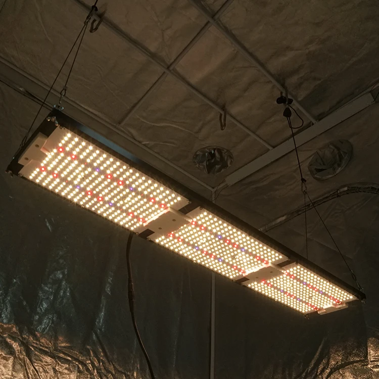 Король brite 2021 новейший водонепроницаемый led grow light 320W LM301H CREE XP-E2 660NM с УФ-фильтром IR