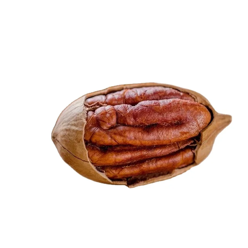 Wholesale High Quality Pecan Nuts for sale