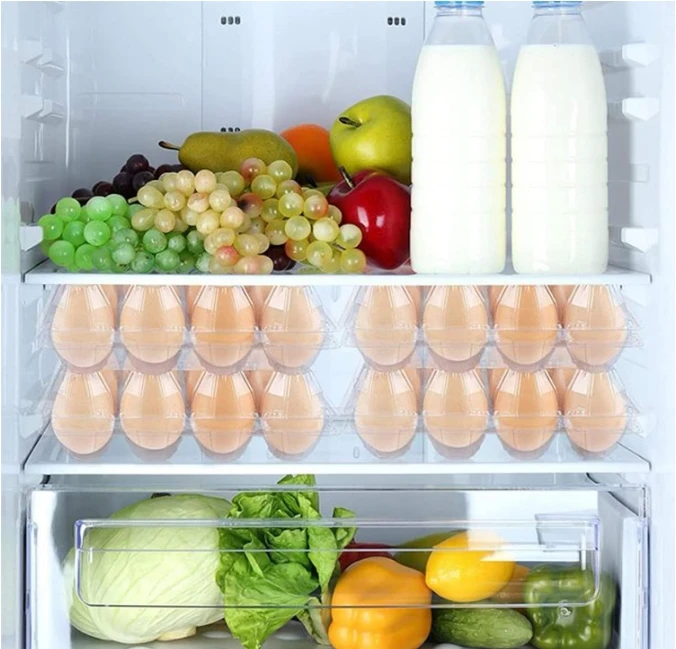 Plastic Egg Cartons Cheap Bulk 1 Dozen Clear Empty Egg Cartons for Chicken Eggs