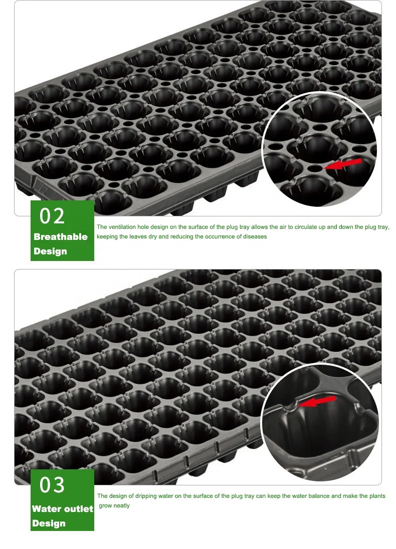 On Sale Seed Tray Re Usable Trays With Lid 200 Cells Plug For Plant Propagation Nursery Seedling