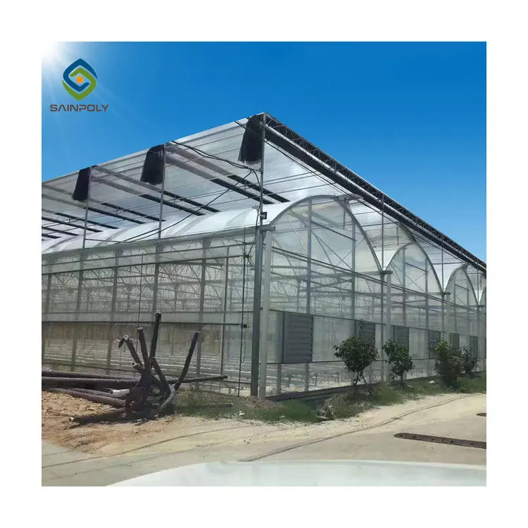 
Agriculture multi-span Invernadero arch plastic film greenhouses for sale 