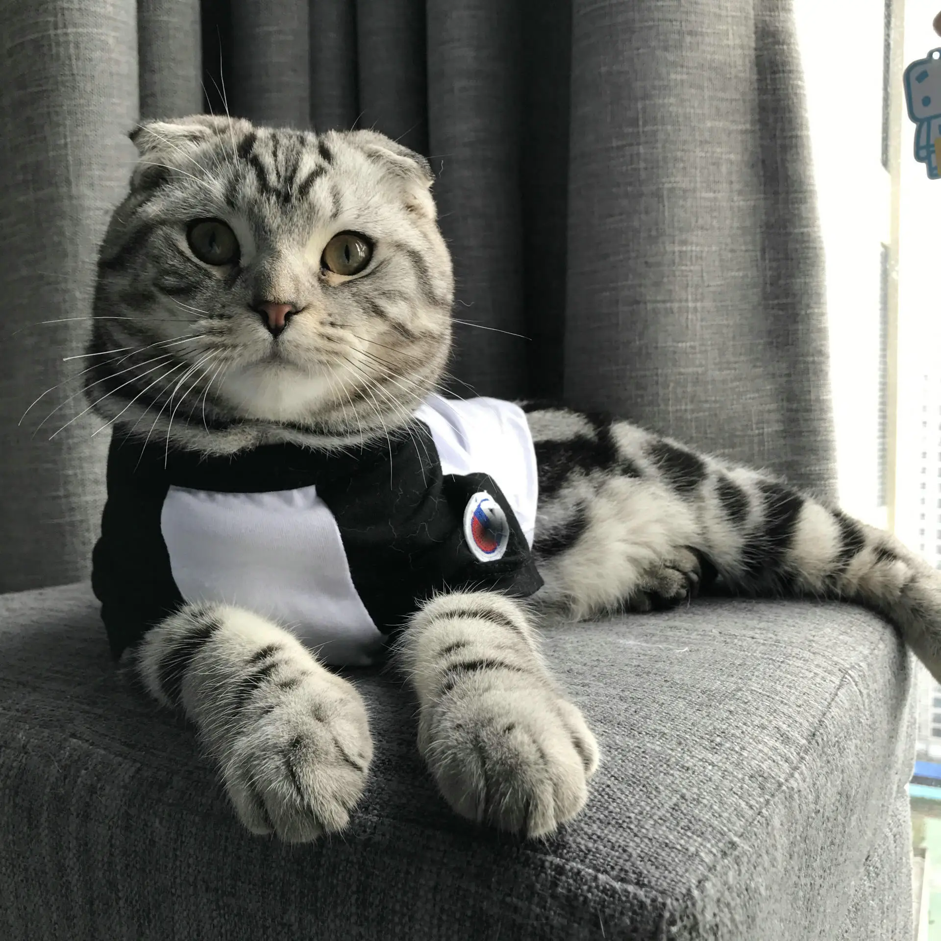 JXANRY  Summer Dog Shirt New Style White Fashion Pet Clothes Popular Luxury Pet Cool Wearing Cat Coat