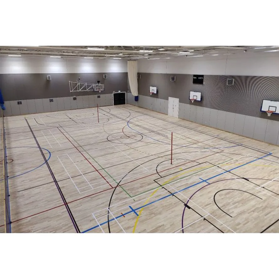 Steel Frame Building Prefabricated Gymnasiums Indoor Basketball Court Steel Structure Sports Hall