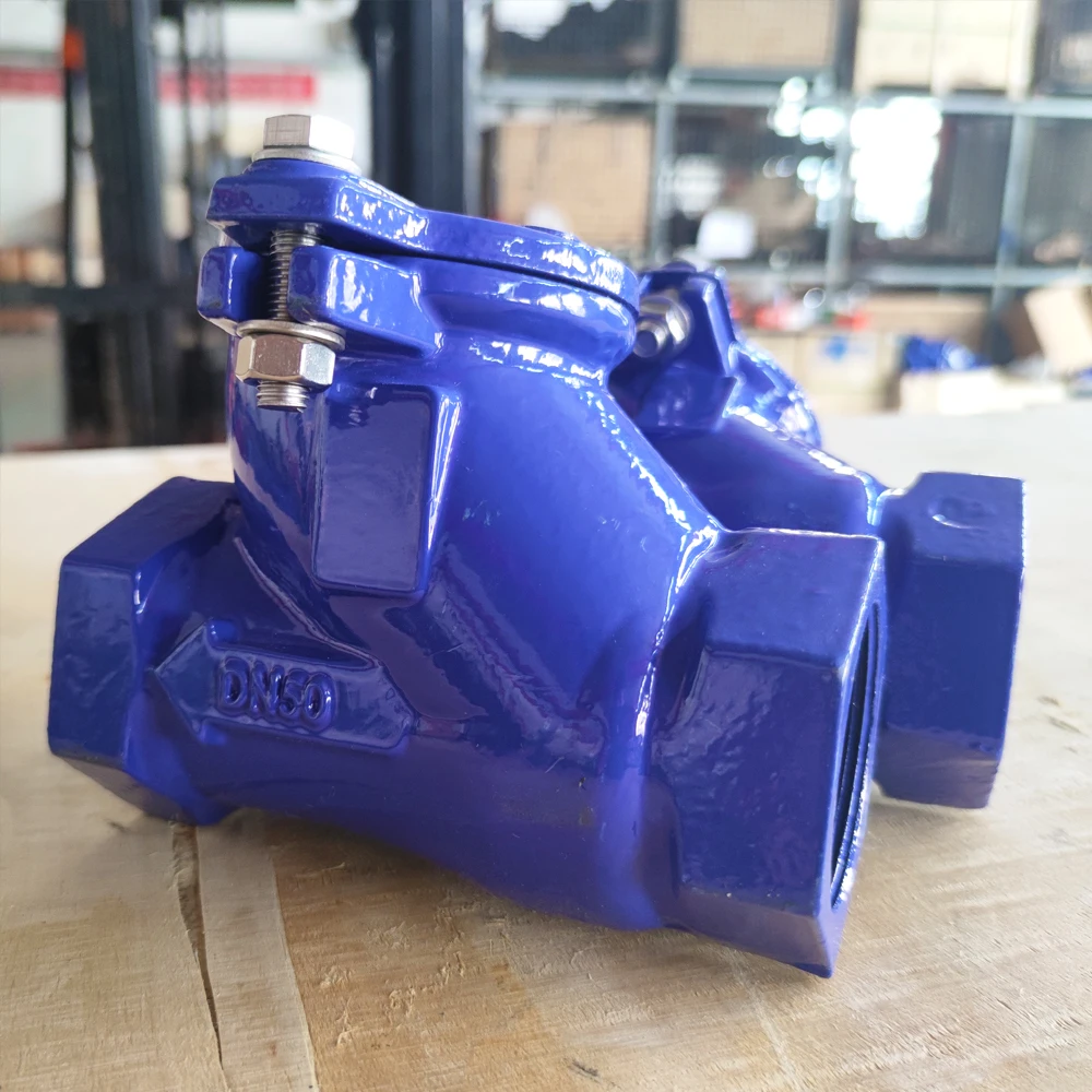 Customize Ductile Iron  type PN10 Pn16 Ball Type  non return Valve
