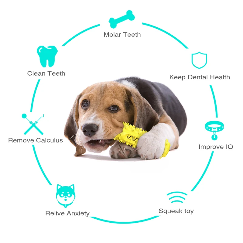 Amazon hot sale Improve IQ Molar Teeth Multifunctional Floating Pool christmas Dog