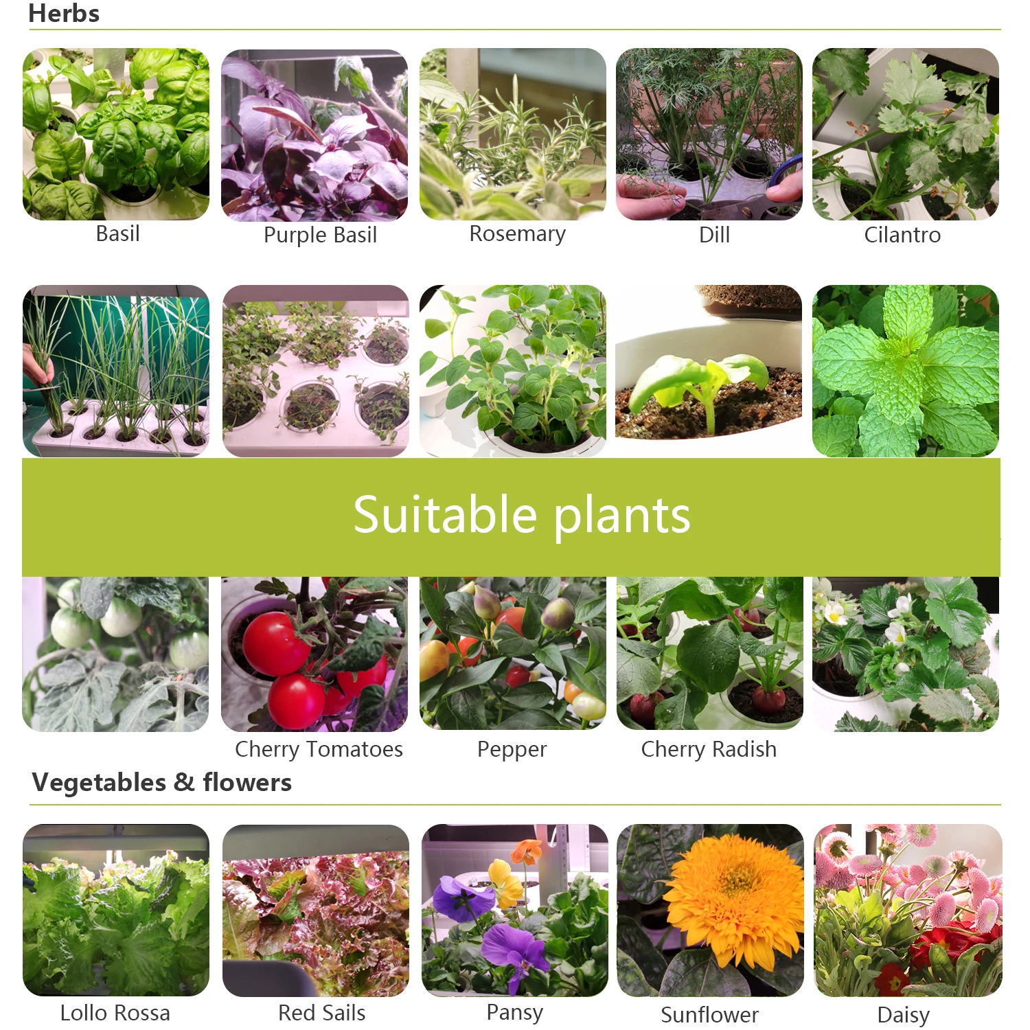 Replacement Root Growth Sponge Organic Grow Sponge Floral Foam Growing Sponge Toys Flower Arranging