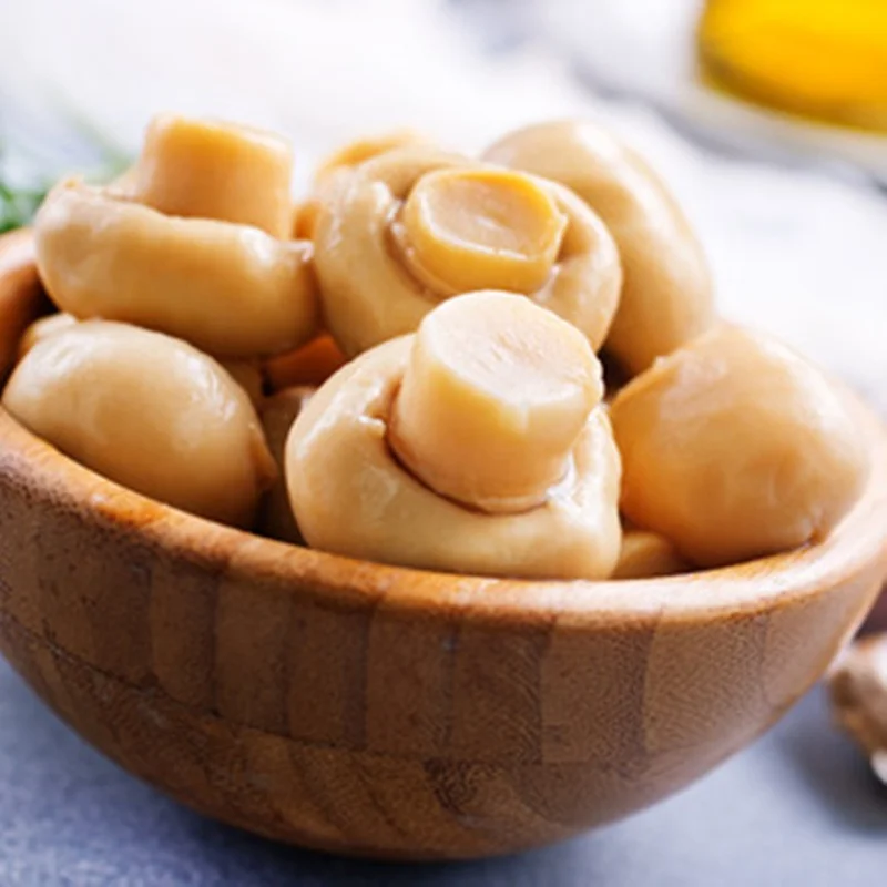 Factory Price Canned Mushroom Whole Mushroom can