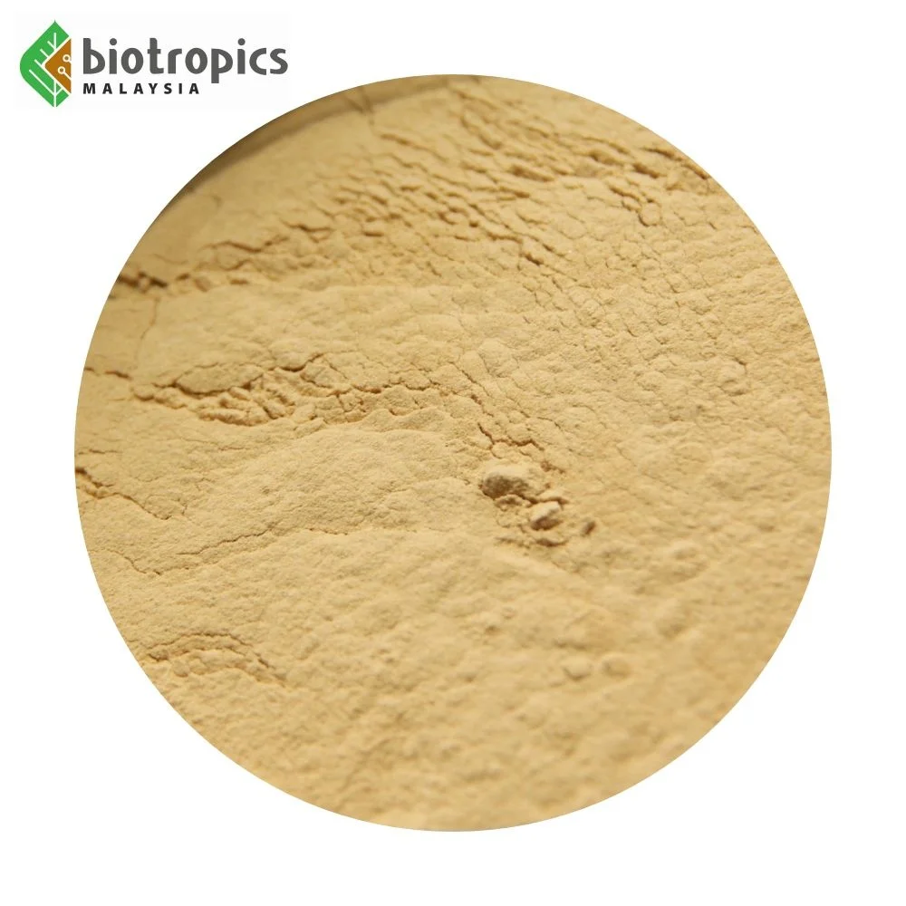 Halal Eurycoma Longifolia Extract Powder Food Ingredient Water Based Nutritious Tongkat Ali Root Extract Powder