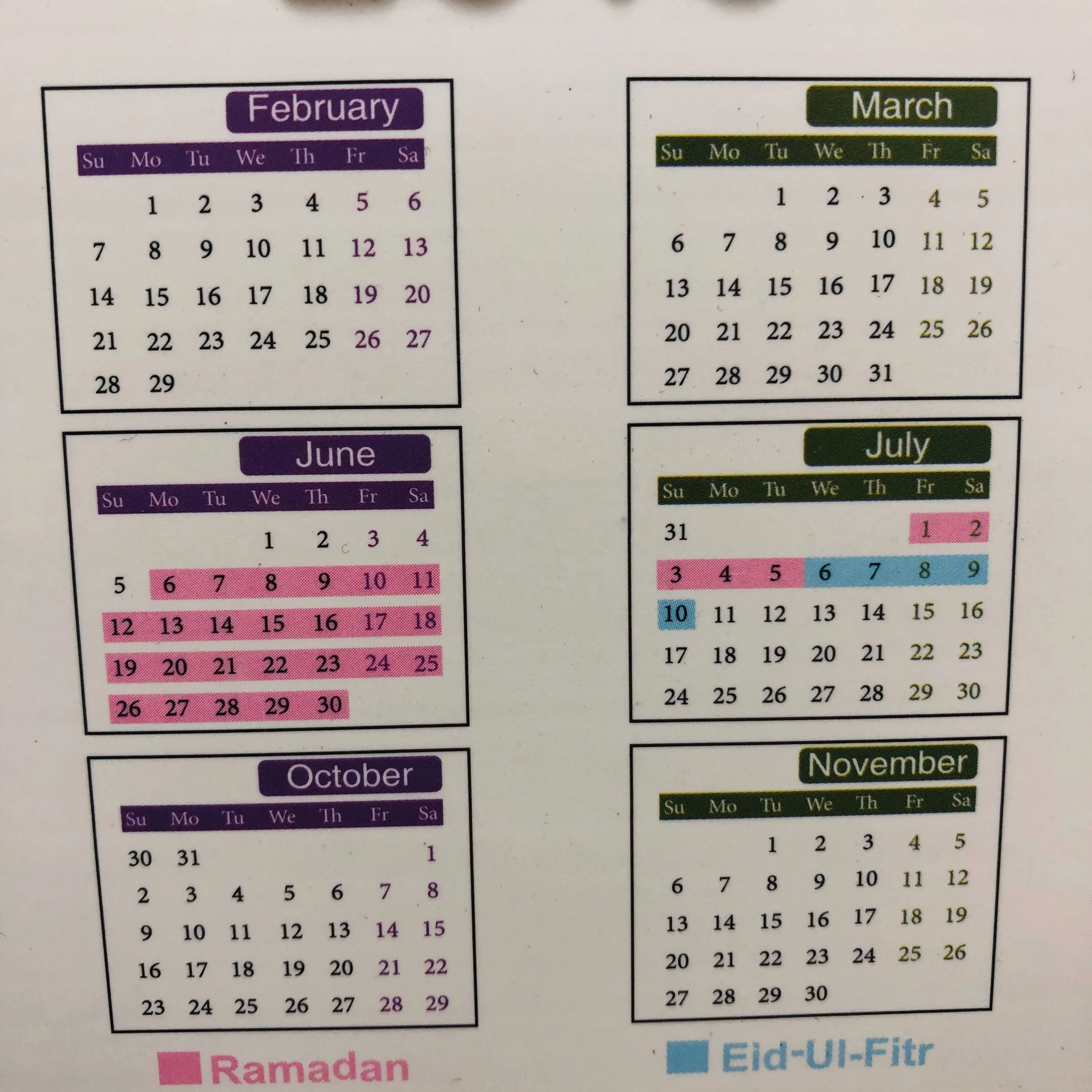 Custom 3D embossed PVC Medical Wall Chart For Medicine