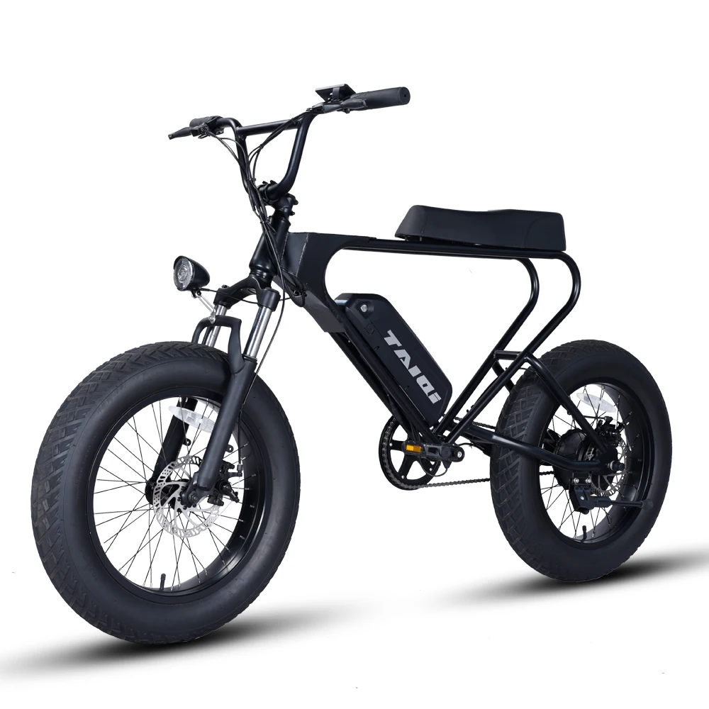 TAIQI DK200 48v 500w Motor  Powered Lithium Battery E Bike Electric Bicycle Buy Fat Tire Ebike