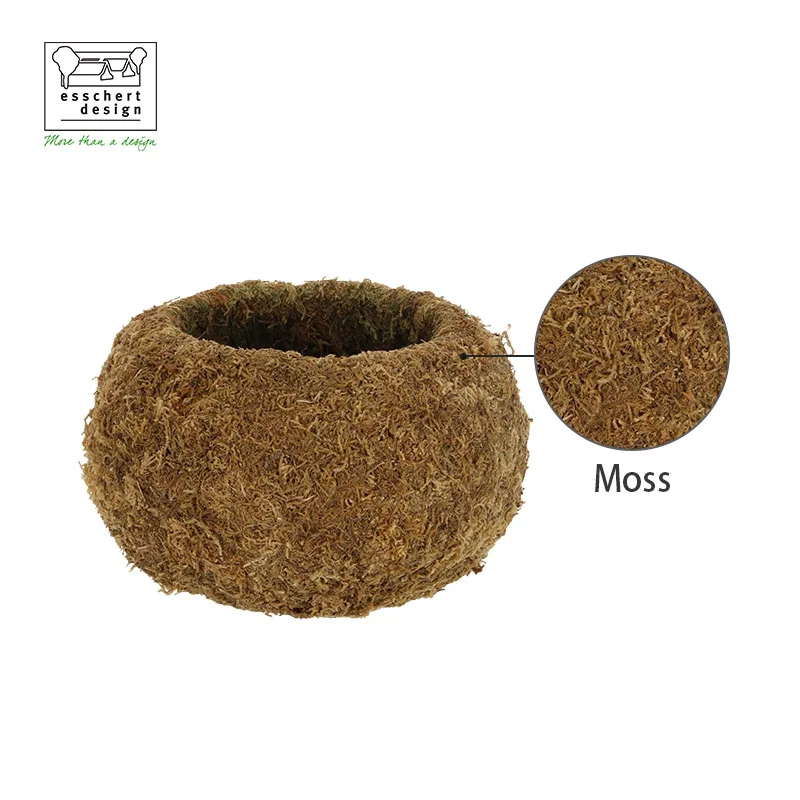 JP004 New Natural Color Moss Kokedama Ball Unique Small Flower Plant Pots for Indoor