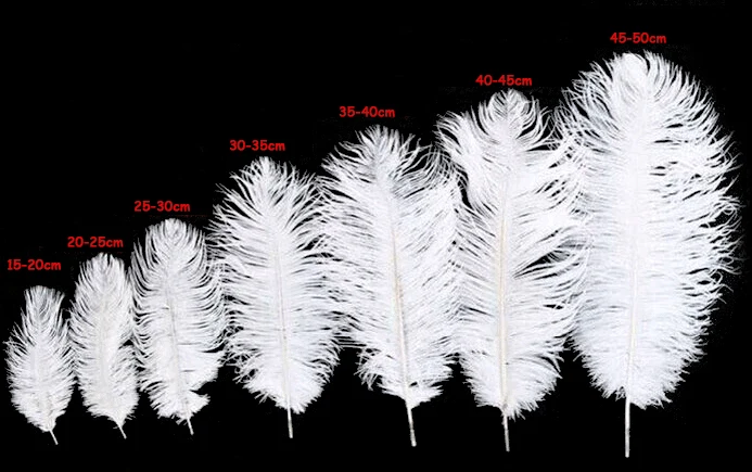 Eco-friendly DIY Wholesale Ostrich Feathers Crafts Supplier High Prime Quality Promotional Pink Ostrich Feather For carnival