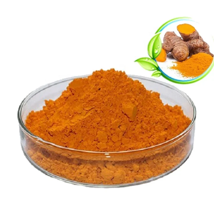 
China supplier Herbal Supplement Cosmetics Food Curcumin Price 95% Curcumin Extract Powder Curcumin 