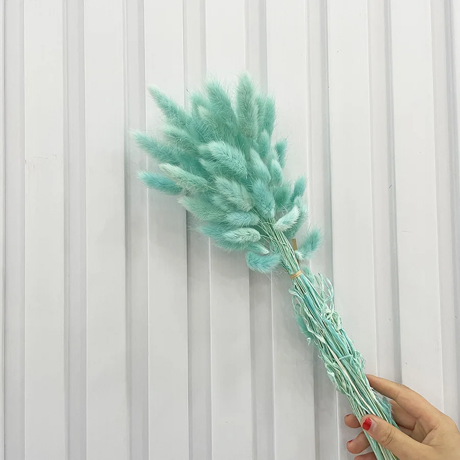 Dried lagurus ovatus bunny rabbit tail grass preserved forever flowers wedding design