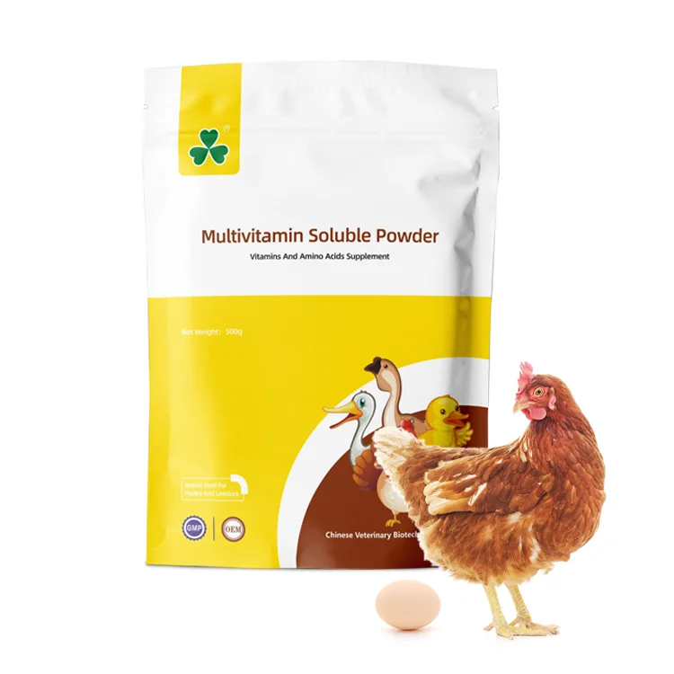 poultry multivitamin supplement growth regulator chicken premix
