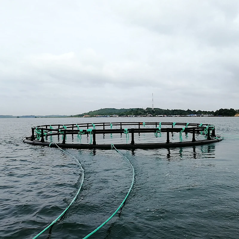 Инструменты для аквакультуры HDPE труба морской воды клетка разведения рыбы сеть-фонарь