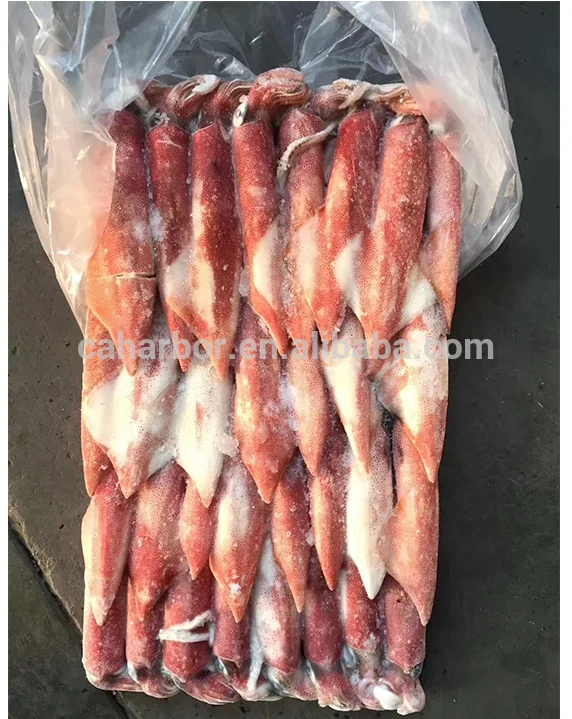 New Landing Whole Round Frozen Loligo Squid Price